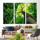 Forest Wall Art Canvas Print - Green Tree Wall Art Print by MyGreatCanvas | Canvas Wall Art Prints | Photo Prints & Wall Decor