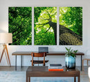 Forest Wall Art Canvas Print - Green Tree Wall Art Print by MyGreatCanvas | Canvas Wall Art Prints | Photo Prints & Wall Decor