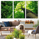 Forest Wall Art Canvas Print - Green Tree Wall Art Print by MyGreatCanvas | Canvas Wall Art Prints | Photo Prints & Wall Decor