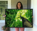 Forest Wall Art Canvas Print - Green Tree Wall Art Print by MyGreatCanvas | Canvas Wall Art Prints | Photo Prints & Wall Decor