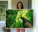 Forest Wall Art Canvas Print - Green Tree Wall Art Print by MyGreatCanvas | Canvas Wall Art Prints | Photo Prints & Wall Decor