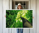 Forest Wall Art Canvas Print - Green Tree Wall Art Print by MyGreatCanvas | Canvas Wall Art Prints | Photo Prints & Wall Decor