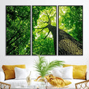 Forest Wall Art Canvas Print - Green Tree Wall Art Print by MyGreatCanvas | Canvas Wall Art Prints | Photo Prints & Wall Decor