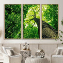 Forest Wall Art Canvas Print - Green Tree Wall Art Print by MyGreatCanvas | Canvas Wall Art Prints | Photo Prints & Wall Decor