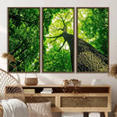 Forest Wall Art Canvas Print - Green Tree Wall Art Print by MyGreatCanvas | Canvas Wall Art Prints | Photo Prints & Wall Decor