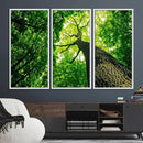 Forest Wall Art Canvas Print - Green Tree Wall Art Print by MyGreatCanvas | Canvas Wall Art Prints | Photo Prints & Wall Decor