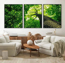 Forest Wall Art Canvas Print - Green Tree Wall Art Print by MyGreatCanvas | Canvas Wall Art Prints | Photo Prints & Wall Decor