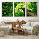 Forest Wall Art Canvas Print - Green Tree Wall Art Print by MyGreatCanvas | Canvas Wall Art Prints | Photo Prints & Wall Decor