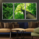 Forest Wall Art Canvas Print - Green Tree Wall Art Print by MyGreatCanvas | Canvas Wall Art Prints | Photo Prints & Wall Decor