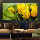 Wall Art Yellow Tulips Canvas Print by MyGreatCanvas | Canvas Wall Art Prints | Photo Prints & Wall Decor