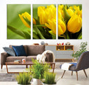 Wall Art Yellow Tulips Canvas Print by MyGreatCanvas | Canvas Wall Art Prints | Photo Prints & Wall Decor
