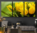 Wall Art Yellow Tulips Canvas Print by MyGreatCanvas | Canvas Wall Art Prints | Photo Prints & Wall Decor