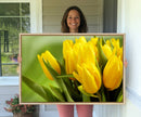 Wall Art Yellow Tulips Canvas Print by MyGreatCanvas | Canvas Wall Art Prints | Photo Prints & Wall Decor