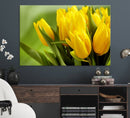 Wall Art Yellow Tulips Canvas Print by MyGreatCanvas | Canvas Wall Art Prints | Photo Prints & Wall Decor