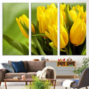 Wall Art Yellow Tulips Canvas Print by MyGreatCanvas | Canvas Wall Art Prints | Photo Prints & Wall Decor