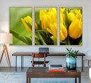 Wall Art Yellow Tulips Canvas Print by MyGreatCanvas | Canvas Wall Art Prints | Photo Prints & Wall Decor