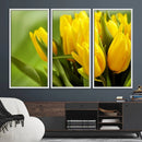 Wall Art Yellow Tulips Canvas Print by MyGreatCanvas | Canvas Wall Art Prints | Photo Prints & Wall Decor