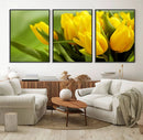 Wall Art Yellow Tulips Canvas Print by MyGreatCanvas | Canvas Wall Art Prints | Photo Prints & Wall Decor