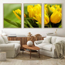 Wall Art Yellow Tulips Canvas Print by MyGreatCanvas | Canvas Wall Art Prints | Photo Prints & Wall Decor