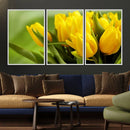 Wall Art Yellow Tulips Canvas Print by MyGreatCanvas | Canvas Wall Art Prints | Photo Prints & Wall Decor