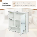 Wall-Mounted Mirror Cabinet with Hidden & Open Storage by LJGDeals