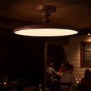 Walnut Ceiling Light