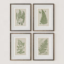 Antique Ferns Set of 4 In French Gray and Green