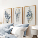 Beach House Wall Art Set. Blue Coral, Jellyfish, Shell by Wall Art Set