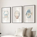 Watercolor Light Blue Nautical 3 Piece Art. Crab, Shell, Fish by Wall Art Set
