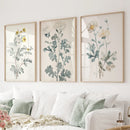 Meadow Flower Watercolor Wall Art Poster Set by Wall Art Set