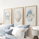 Watercolor Light Blue Nautical 3 Piece Art. Crab, Shell, Fish by Wall Art Set