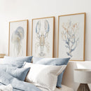 Ocean Animal Prints. Jellyfish, Lobster, Corals Wall Art by Wall Art Set