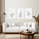 Watercolor Botanical Set of 3 Prints Wall Decor by Wall Art Set