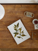 Watercolor Branch