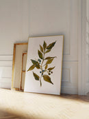 Watercolor Branch