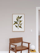 Watercolor Branch