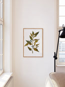 Watercolor Branch