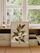 Watercolor Branch
