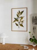 Watercolor Branch