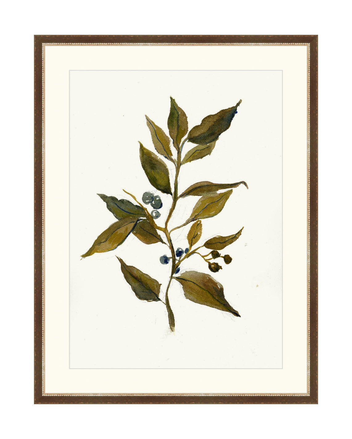 Watercolor Branch