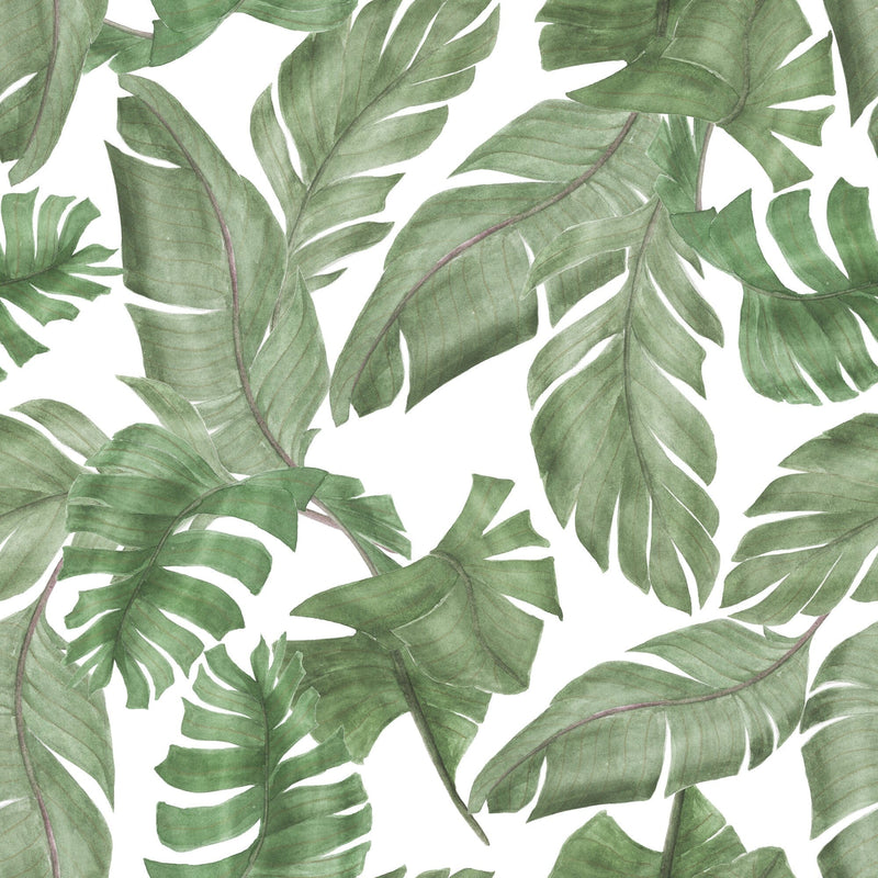 Large Tropical Green Leaves Wallpaper