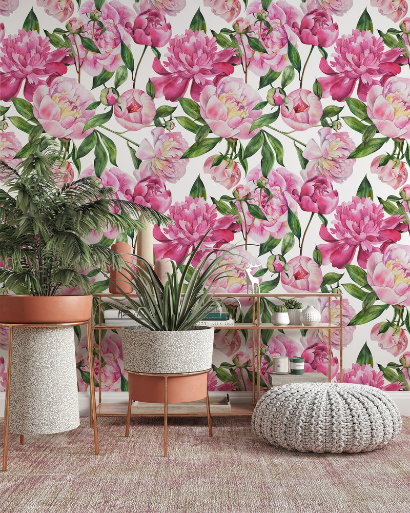 Pink Peony Wallpaper