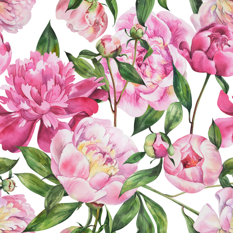 Pink Peony Wallpaper