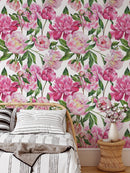 Pink Peony Wallpaper