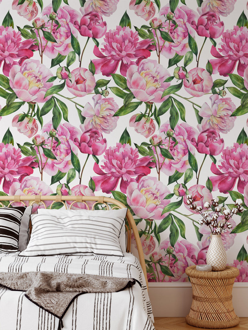 Pink Peony Wallpaper