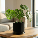 Mid-Century Ribbed Planter with Drainage and Saucer in Multiple Colors, 3D Printed Planter with Unique Modern Design, Lightweight, Wave
