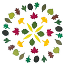 40-Piece Woodland Leaves Wooden Forest Set – Nature-Inspired Loose Parts Play