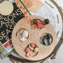 Double-Sided Wooden Life Cycle Board
