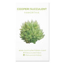 Agave/ Aloe/ Gasteria and Haworthia Succulent ID Cards