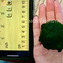 Giant Marimo Moss Ball Aqua Plant Pet Rare 5-6 cm LIVE Kokedama Japanese Algae Ball Mossball